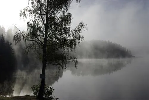 seecamping-ottenstein-am-stausee-ottenstein-rastenfeld-oqpfk