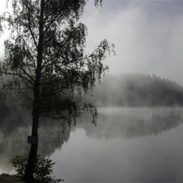 seecamping-ottenstein-am-stausee-ottenstein-rastenfeld-oqpfk