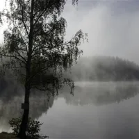 seecamping-ottenstein-am-stausee-ottenstein-rastenfeld-oqpfk