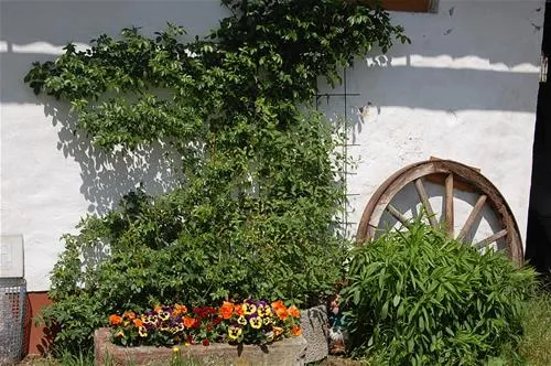 campingplatz-heiter-mnchberg-l7rcb