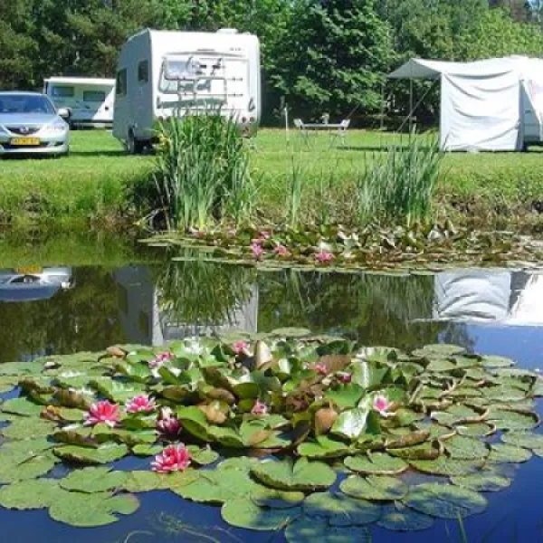 camping-verbelnieki-perkone-ql1ht