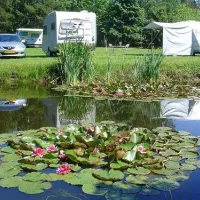 camping-verbelnieki-perkone-ql1ht
