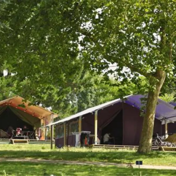 flower-camping-de-conleau-vannes-bdbpc