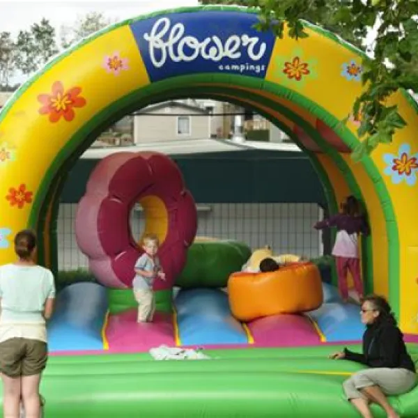 flower-camping-de-conleau-vannes-dwfpa