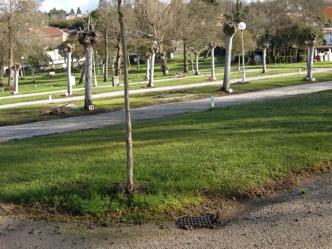 camping-green-village-bergondo-lv4jc