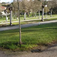 camping-green-village-bergondo-lv4jc