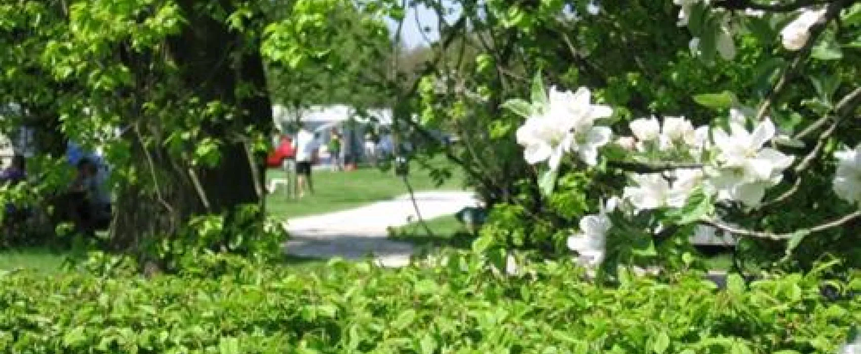 Camping De Lindehof
