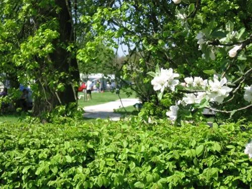 camping-de-lindehof-gees-tbaat