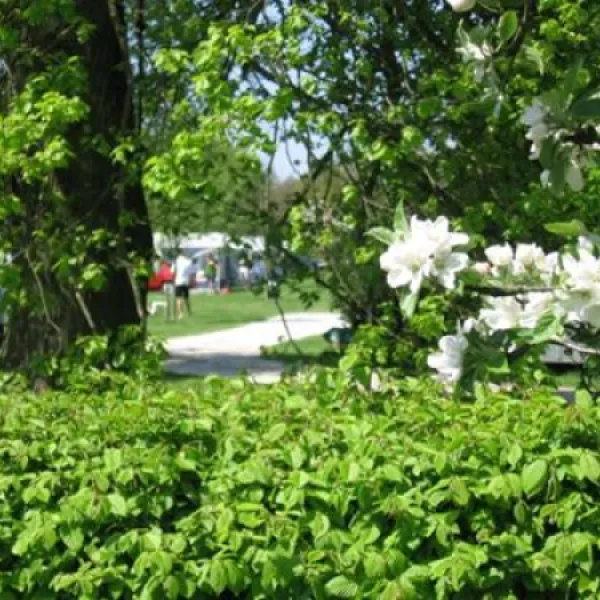 camping-de-lindehof-gees-tbaat