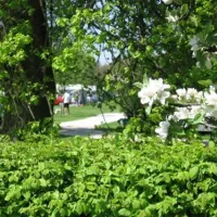 camping-de-lindehof-gees-tbaat