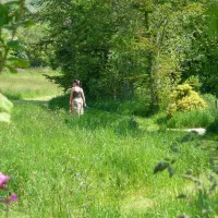 trethem-mill-touring-park-truro-cjlgr