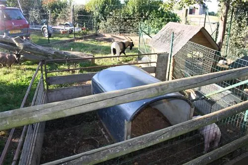 la-ferme-de-lann-hodic-sarzeau-3wyxk
