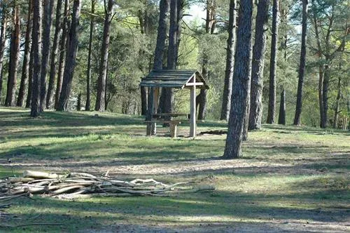 camping-biwak-pod-sosnami-okartowotartak-3xqvs