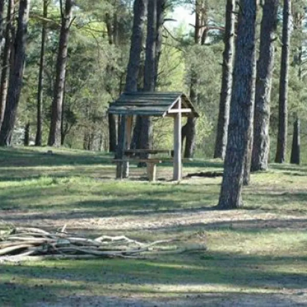 camping-biwak-pod-sosnami-okartowotartak-3xqvs