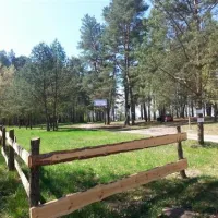camping-biwak-pod-sosnami-okartowotartak-ccalv
