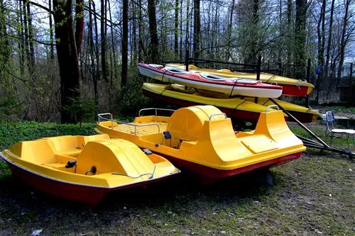 camping-biwak-pod-sosnami-okartowotartak-rc8yd