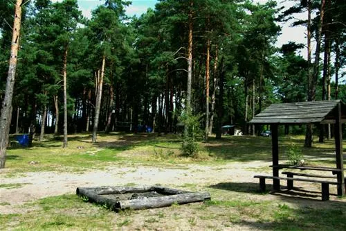 camping-biwak-pod-sosnami-okartowotartak-wlsnm