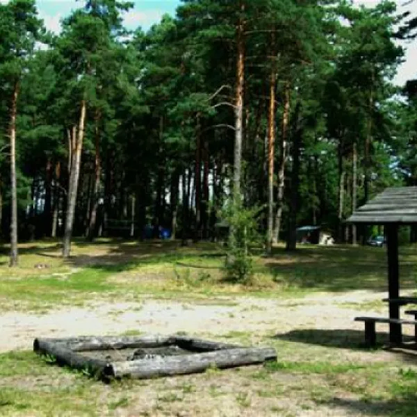 camping-biwak-pod-sosnami-okartowotartak-wlsnm