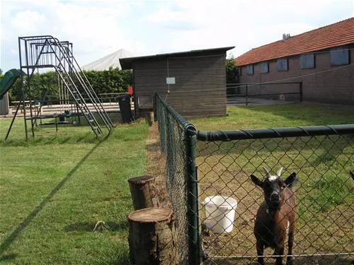 camping-de-stippelberg-de-mortel-hnozd