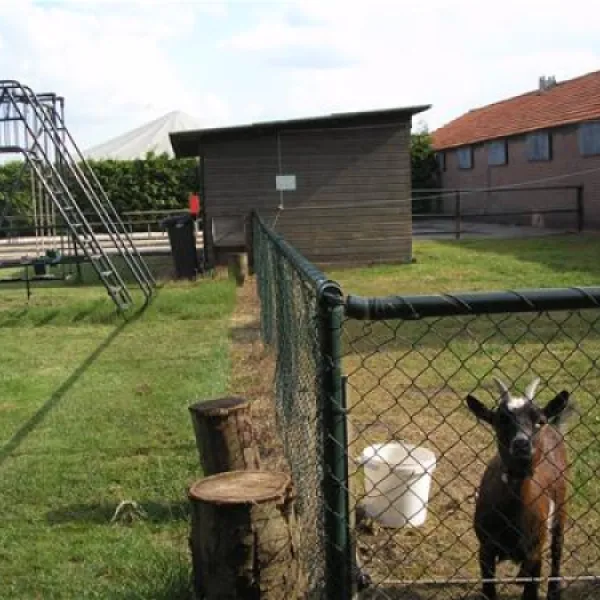 camping-de-stippelberg-de-mortel-hnozd