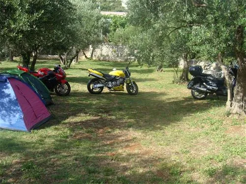 autokamp-mir-neum-dmexb
