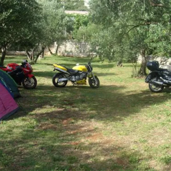 autokamp-mir-neum-dmexb