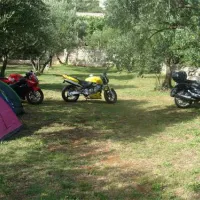 autokamp-mir-neum-dmexb