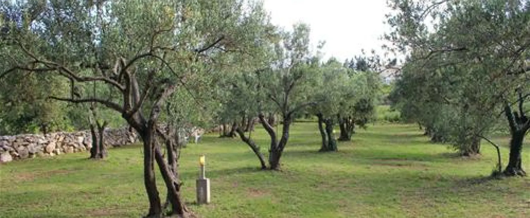 Autokamp Mir