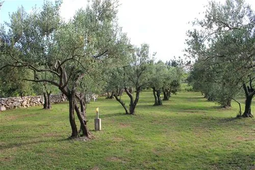 autokamp-mir-neum-xl9lt