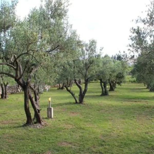 autokamp-mir-neum-xl9lt