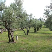 autokamp-mir-neum-xl9lt