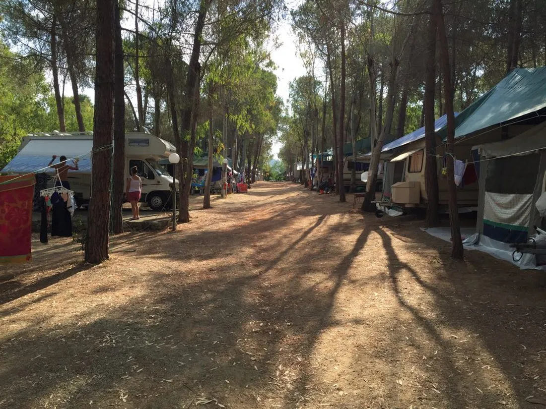 camping-lacona-pineta-capoliveri-5cu4d