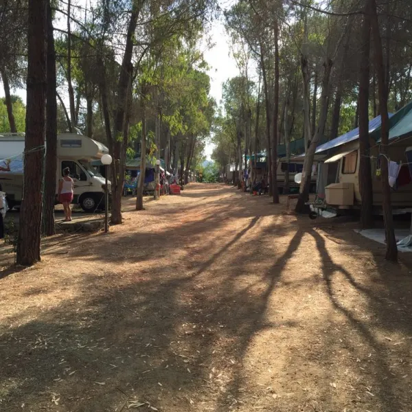 camping-lacona-pineta-capoliveri-5cu4d