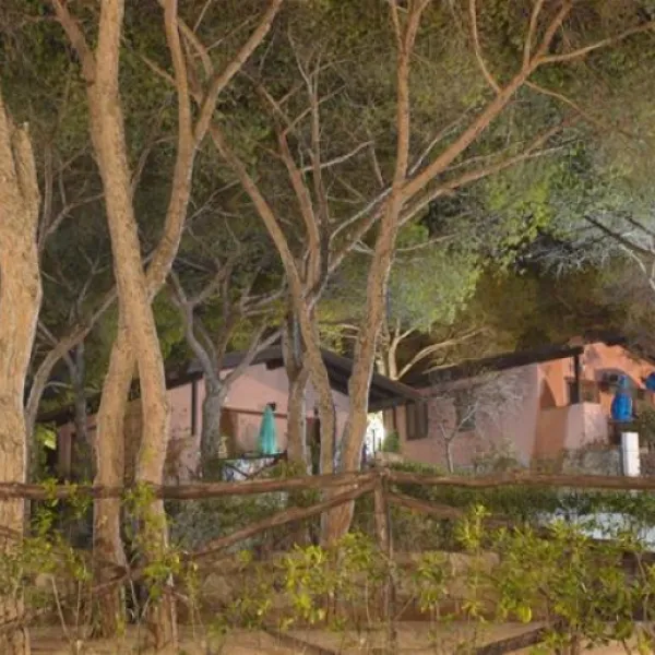 camping-lacona-pineta-capoliveri-folio
