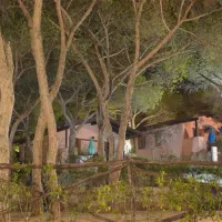 camping-lacona-pineta-capoliveri-folio