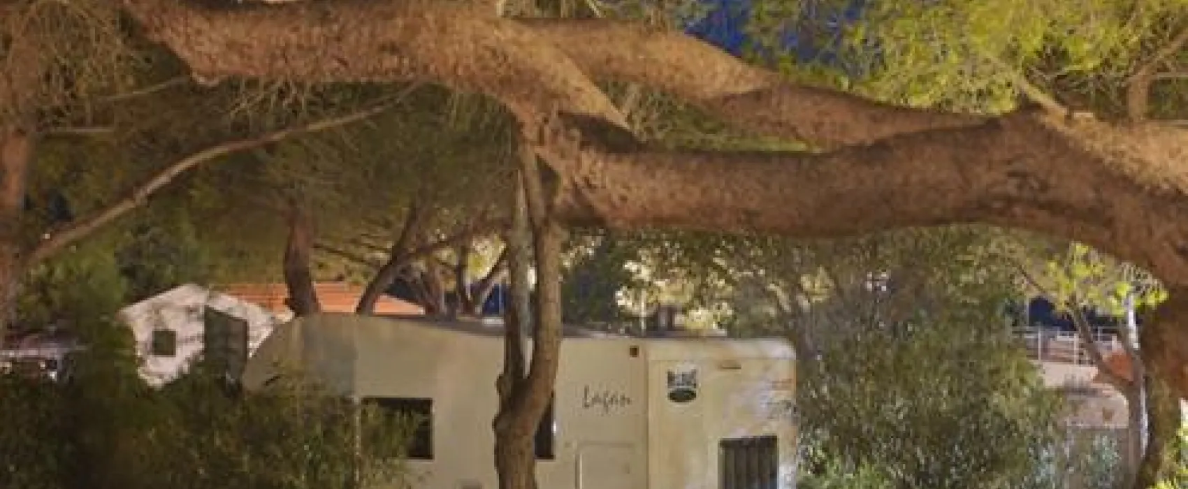Camping Lacona Pineta