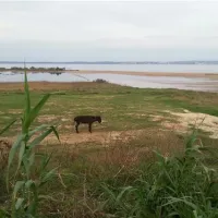 Camping Ninska Laguna