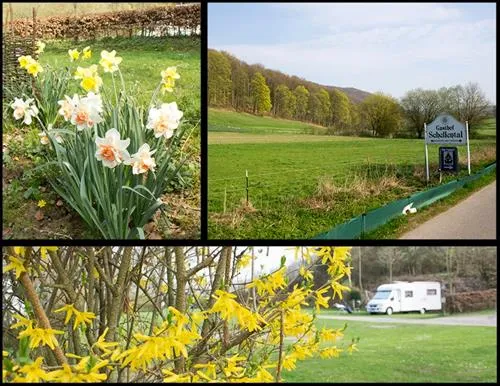 campingpark-schellental-bad-pyrmont-g6mkl