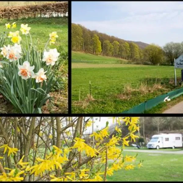 campingpark-schellental-bad-pyrmont-g6mkl