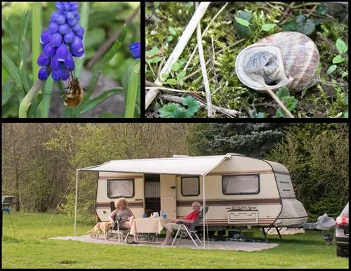 campingpark-schellental-bad-pyrmont-oes4t
