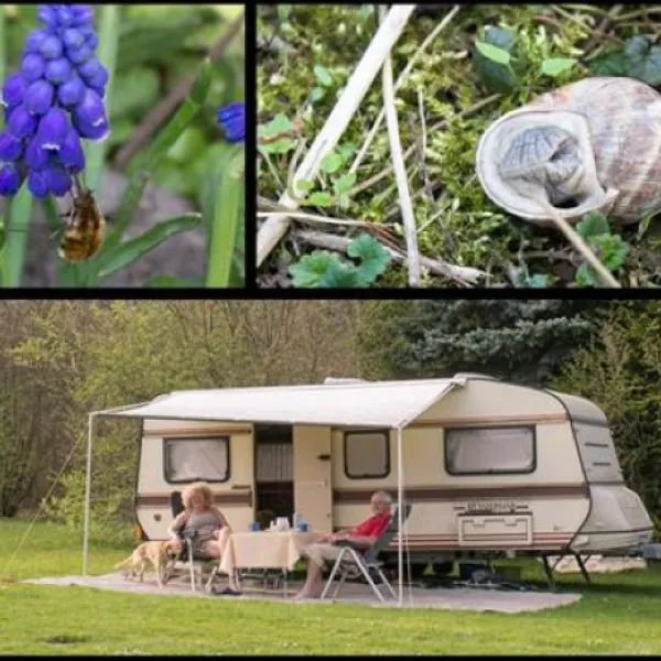 campingpark-schellental-bad-pyrmont-oes4t