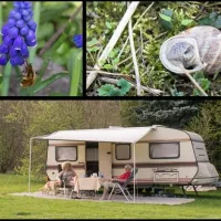 campingpark-schellental-bad-pyrmont-oes4t