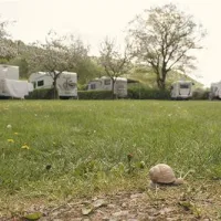 campingpark-schellental-bad-pyrmont-qmpdv