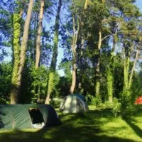 Camp "Die neue Zeit"