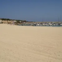Campeggio La Pineta