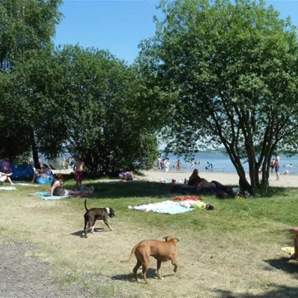 erkemederstrand-zeewolde-7xpib