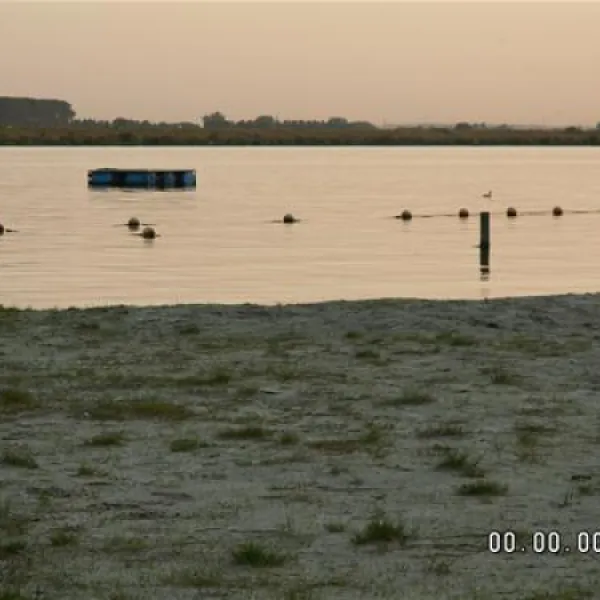 erkemederstrand-zeewolde-qoeze