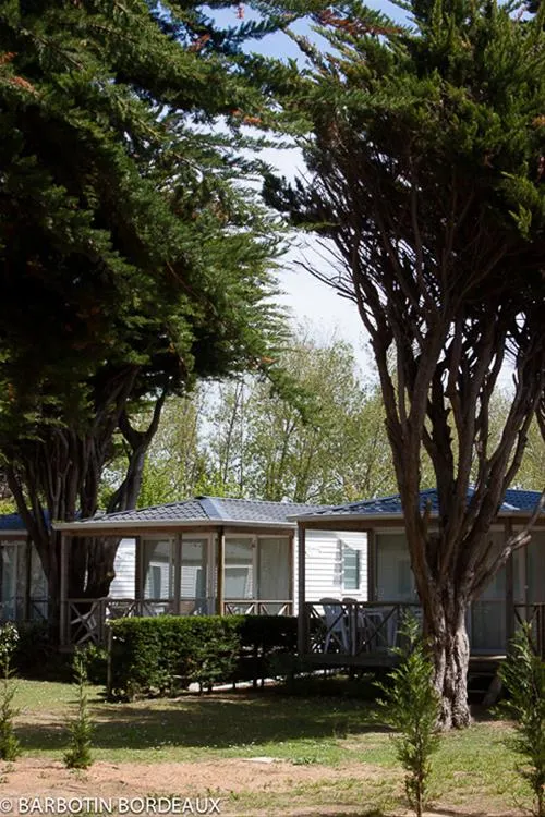 campiotel-des-dunes-ars-en-re-xzrk9