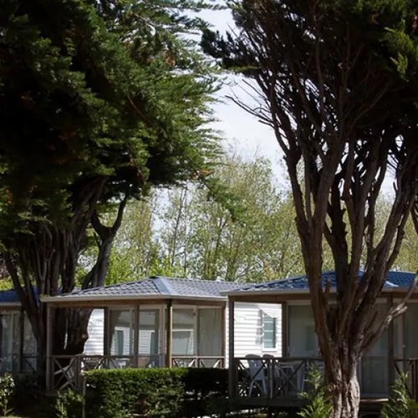 campiotel-des-dunes-ars-en-re-xzrk9