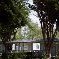 campiotel-des-dunes-ars-en-re-xzrk9